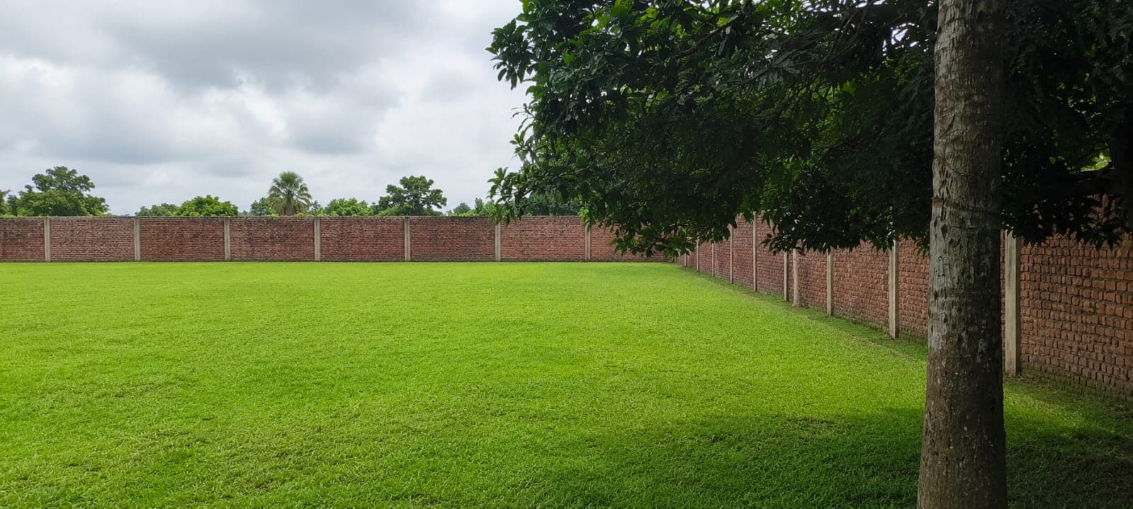 Site clearing along the wall